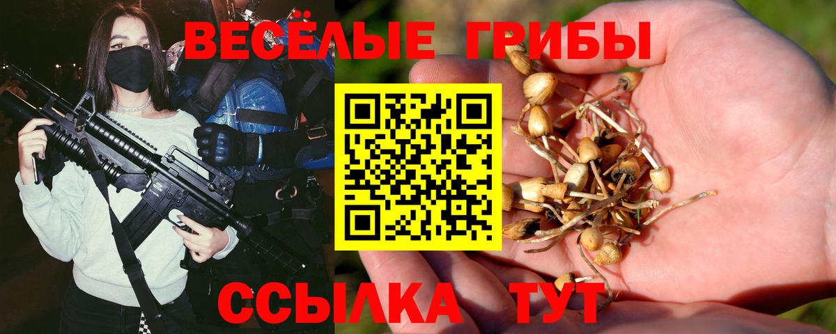 Псилоцибиновые грибы мухоморы Вольск